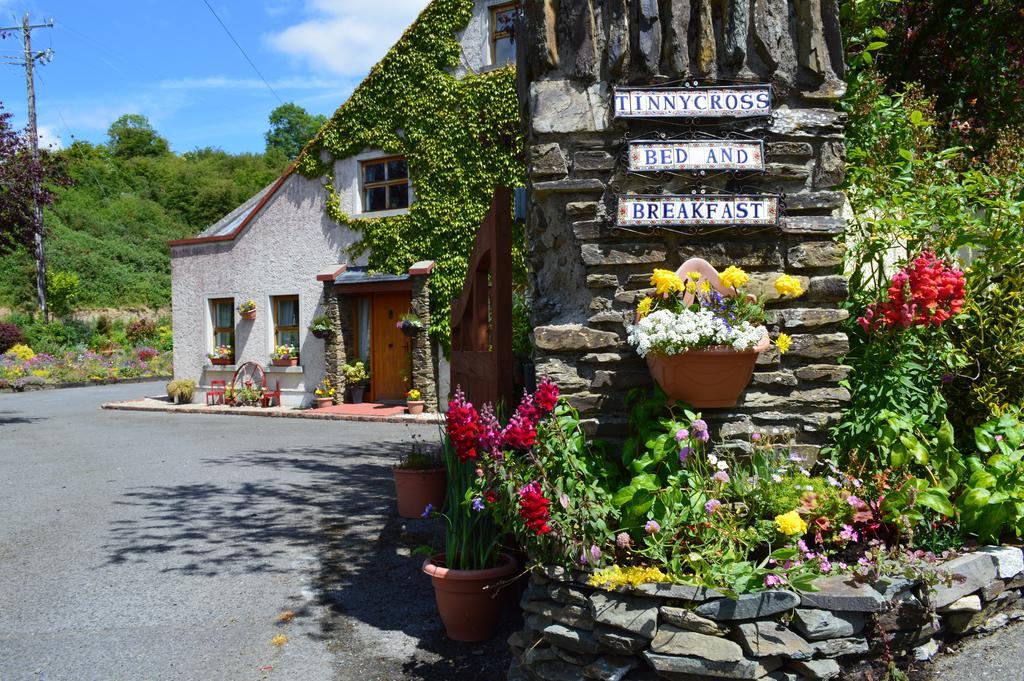 Tinnycross House B&B Ballymore Eustace Εξωτερικό φωτογραφία
